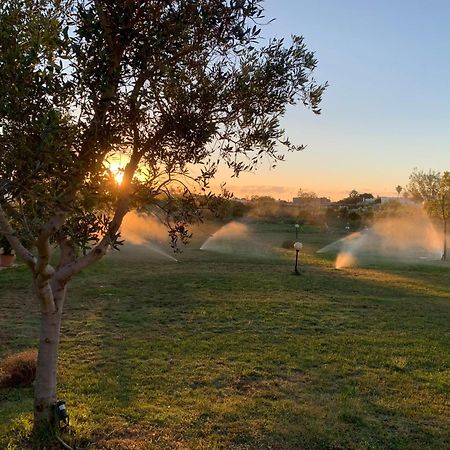 Masseria Capece Bed & Breakfast Уджано-ла-Кьеза Экстерьер фото