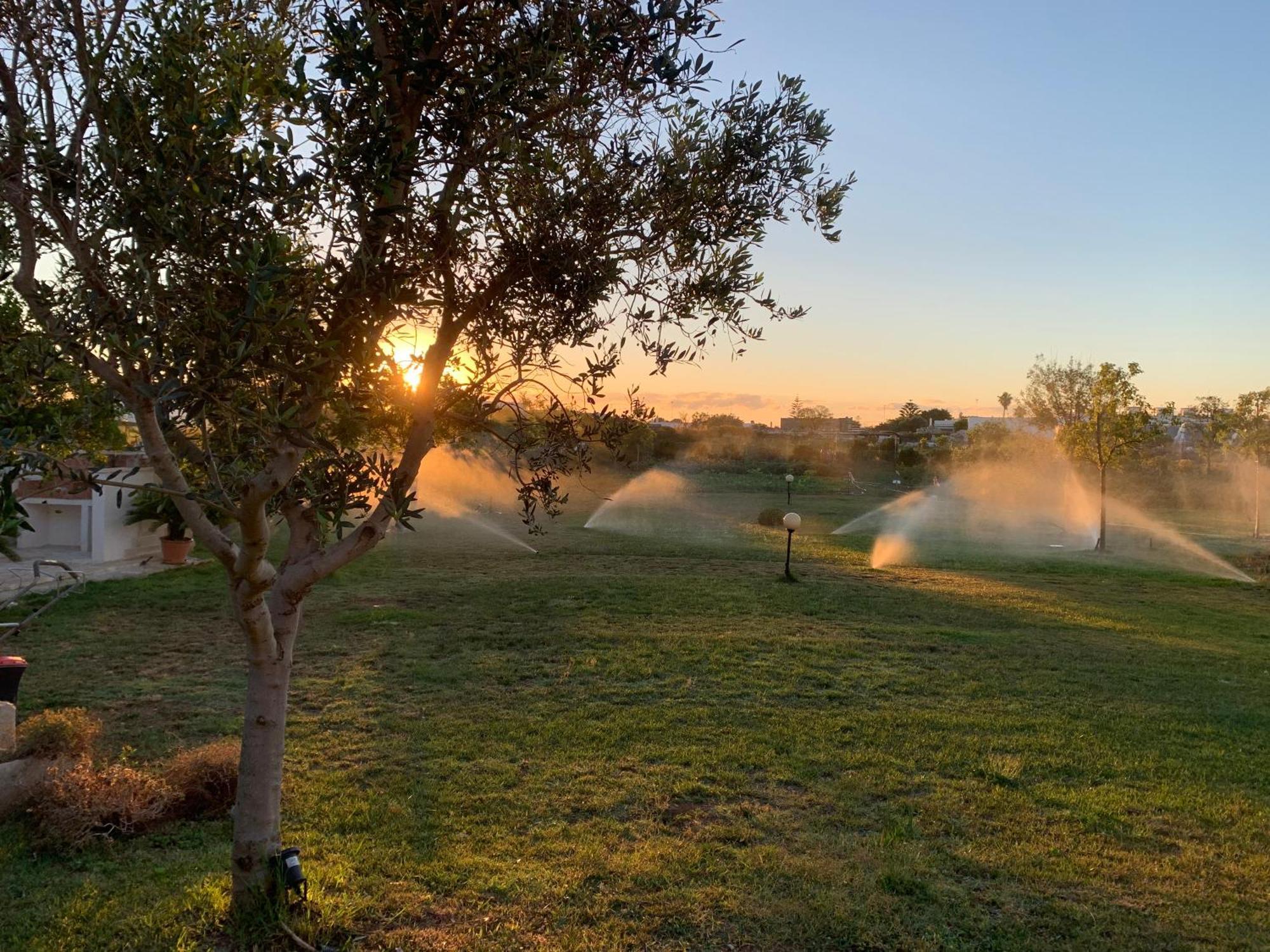 Masseria Capece Bed & Breakfast Уджано-ла-Кьеза Экстерьер фото